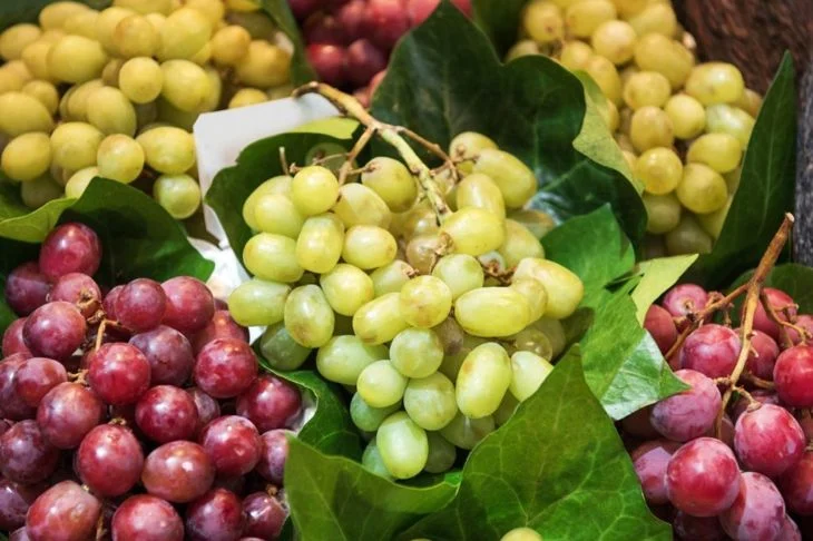 The health benefits of grapes are numerous