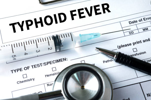 Typhoid Fever Vaccines Market is expected to reach US$ 525.32 Million by 2028
