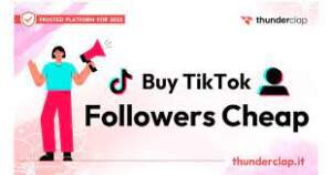 Tiktok Followers