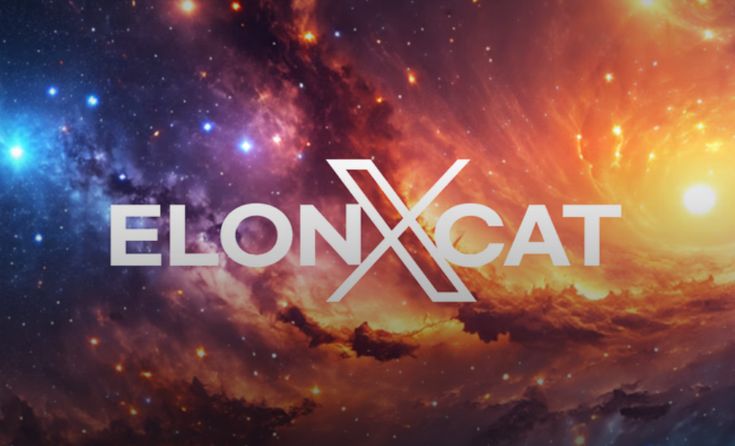 elonxcat