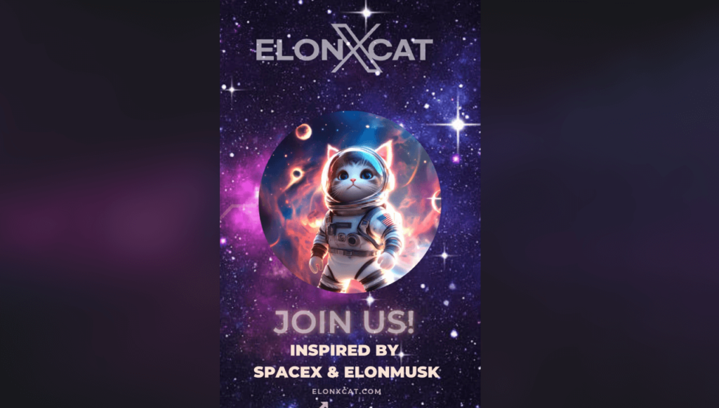 elonxcat