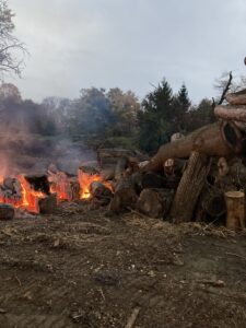 Premium Firewood for Sale in Landenberg